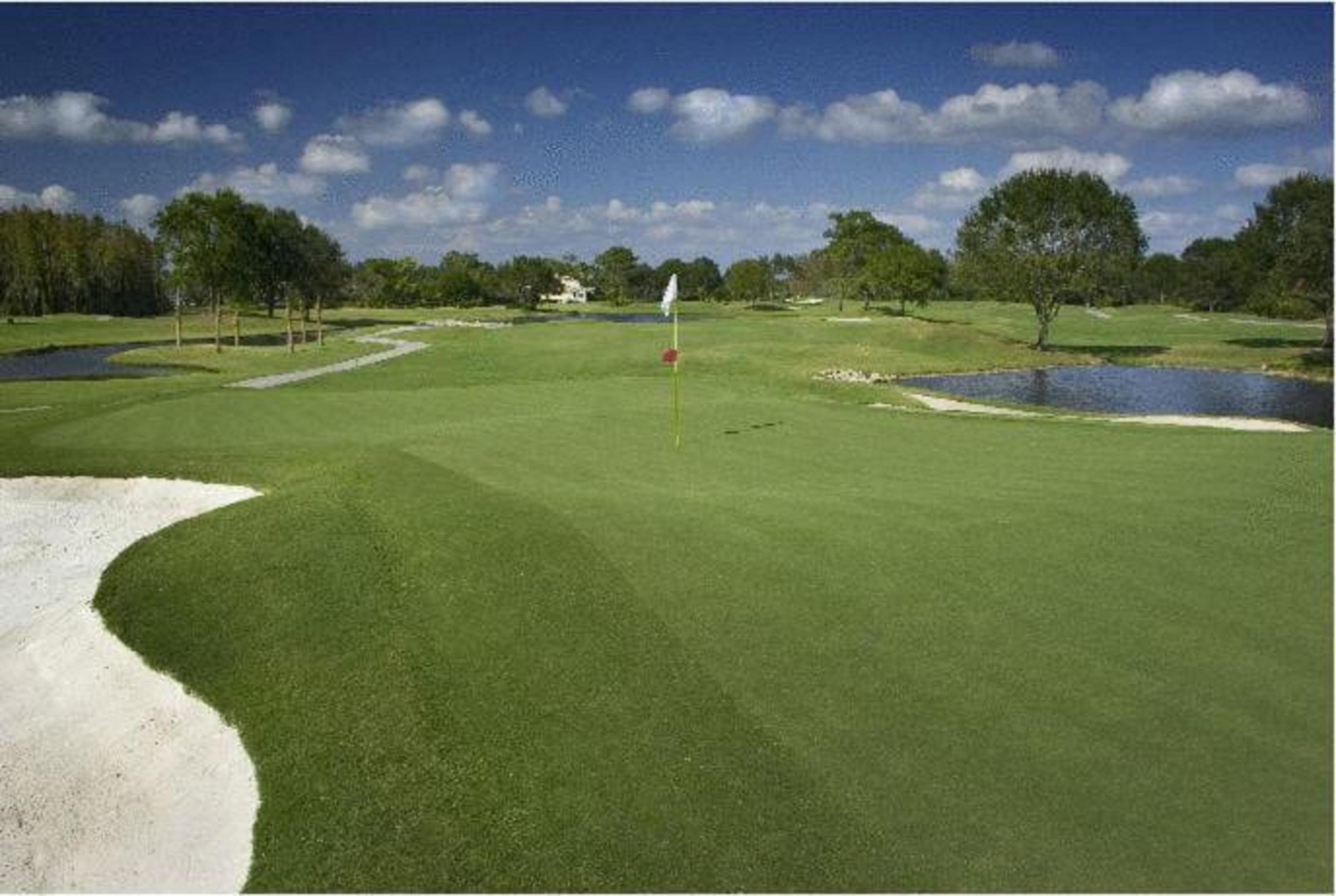 Saddlebrook Golf Resort & Spa Tampa North-Wesley Chapel Exterior photo